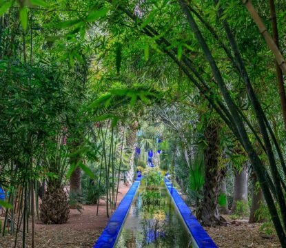 botanical-garden-and-artists-landscape-garden